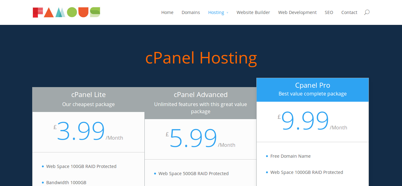 Famous Websites Hosting Options